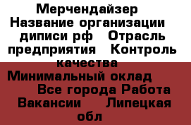 Мерчендайзер › Название организации ­ диписи.рф › Отрасль предприятия ­ Контроль качества › Минимальный оклад ­ 20 000 - Все города Работа » Вакансии   . Липецкая обл.